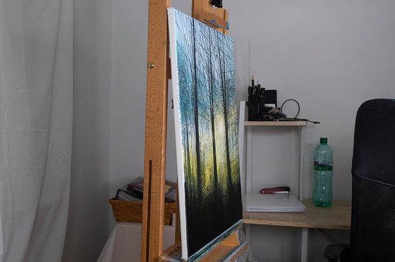 Forest Trees At Last Light