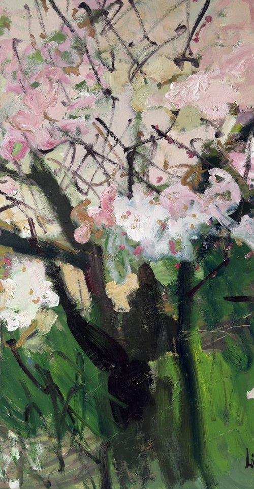 Cherry blossom by Lilia Orlova-Holmes