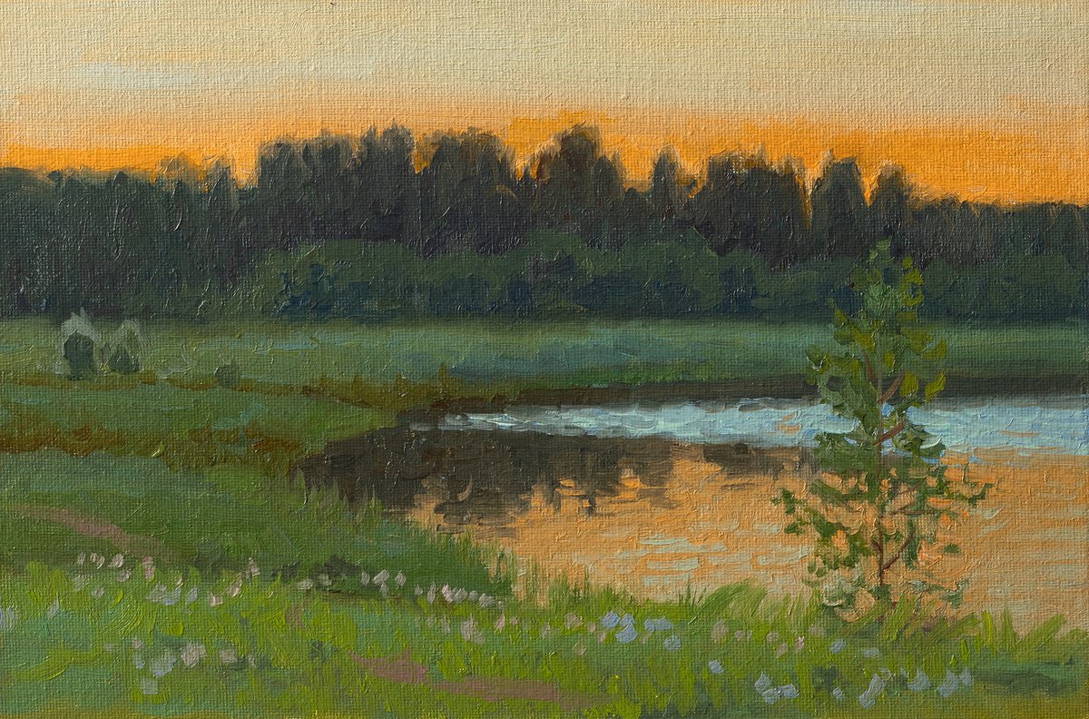 Evening twilight by Alexey Pleshkov