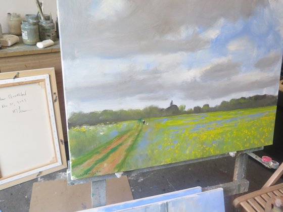 Water Meadow, May 23