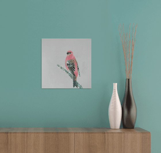 Pink Browed Rose finch