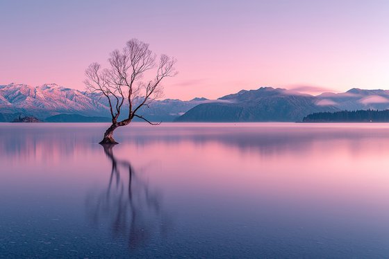 Stillness at Lake Wanaka