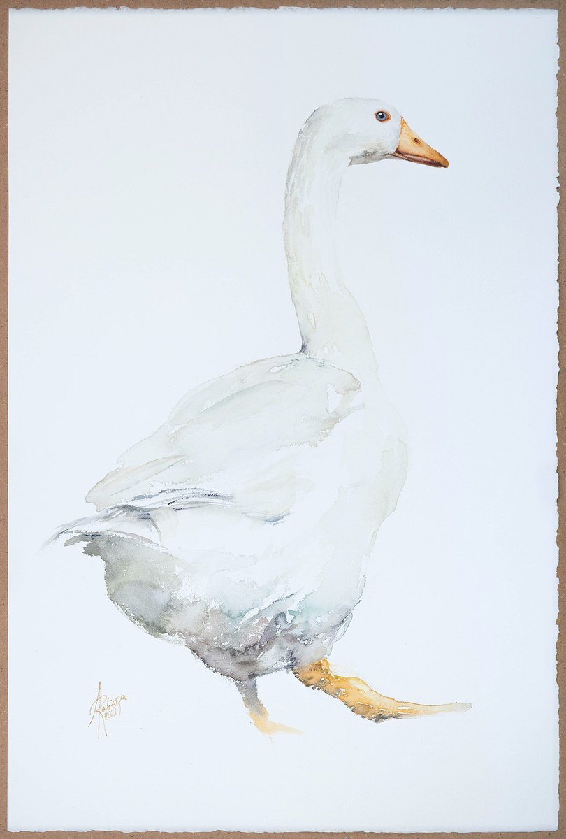 Goose by Andrzej Rabiega
