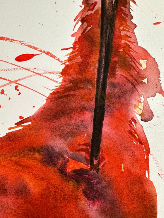 Scarlet Ibis 2