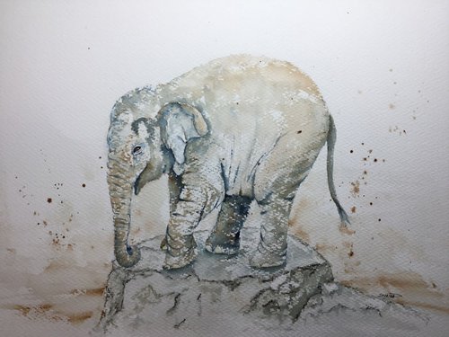 Baby elephant by Sabrina’s Art