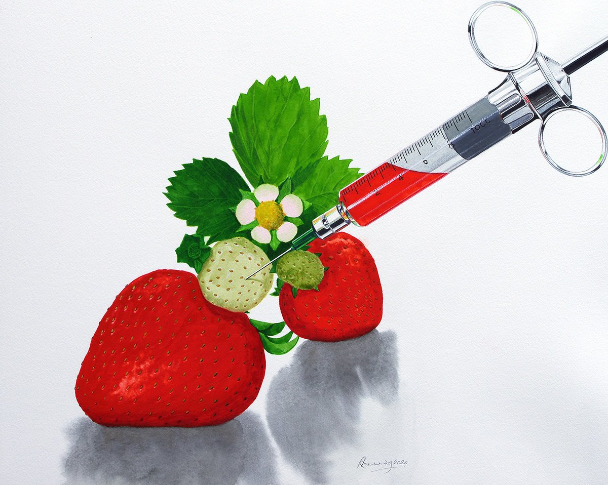 STRAWBERRIES by Richard Manning