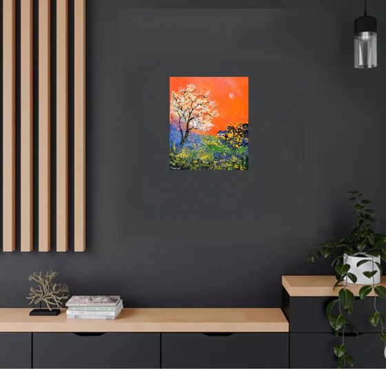 Moonshine in spring