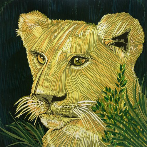 Young Lion, Masai Mara by Marian Carter