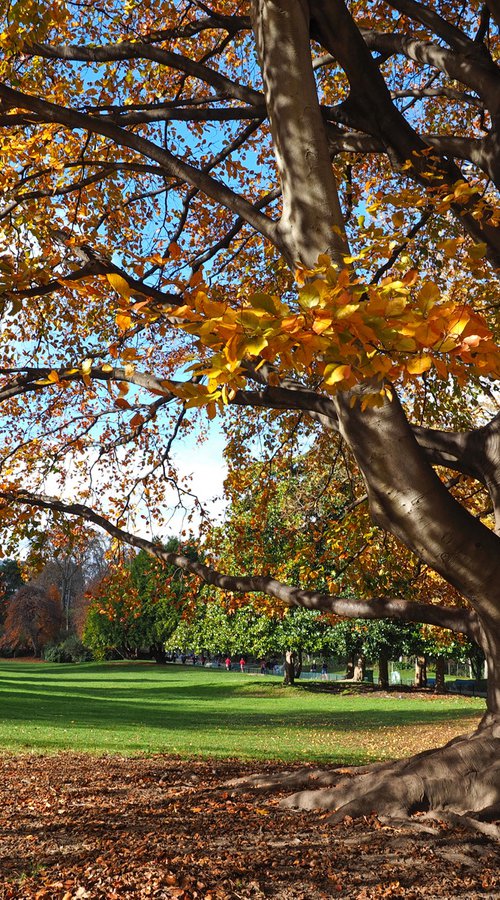 Parc Monceau en Automne by Alex Cassels