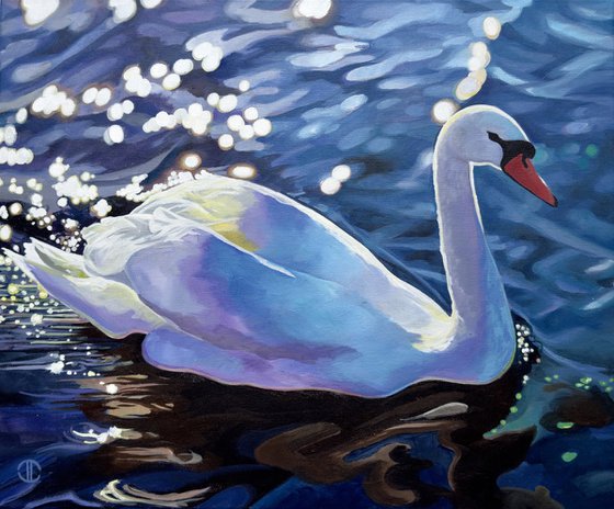 Sunlit Swan Glinting Water