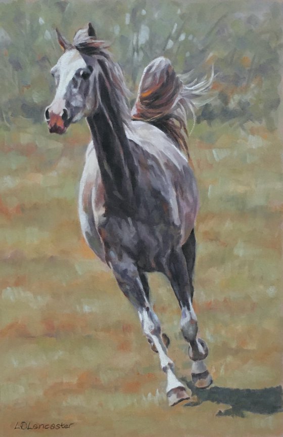 Letting Off Steam - Grey Horse