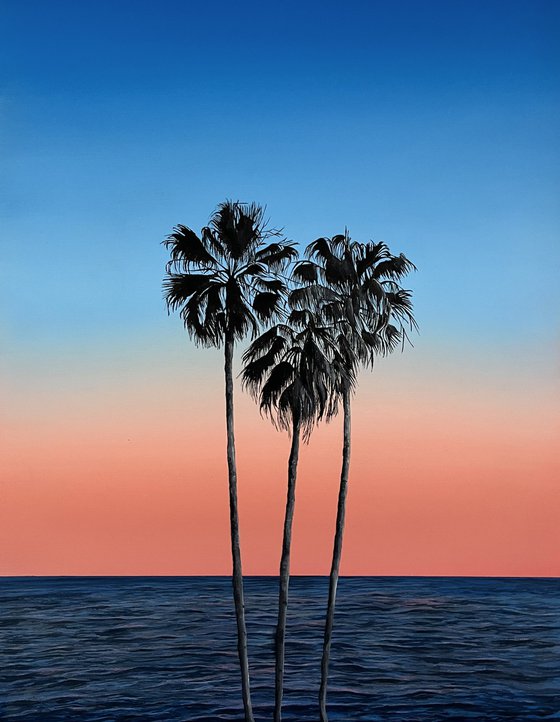 Palm Trees