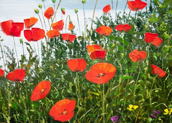 Seascape. Oil painting. Red poppies and sea. On canvas. 24 x 28in.