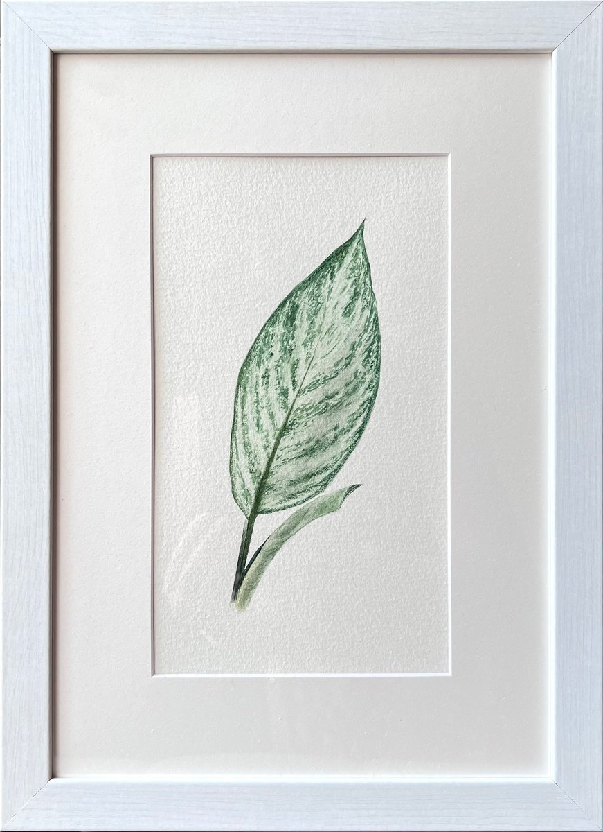 Illustrative Botanical Watercolour By Tetiana Kovalova, 9 X 13", Aglaonema, Original Artwork