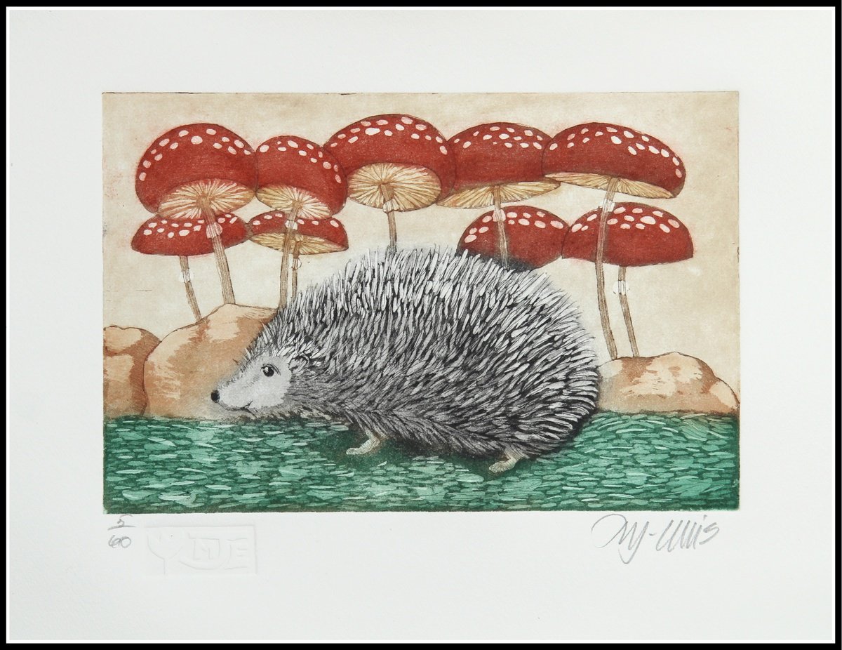 Hedgehog Etching / Engraving by Mariann Johansen-Ellis | Artfinder