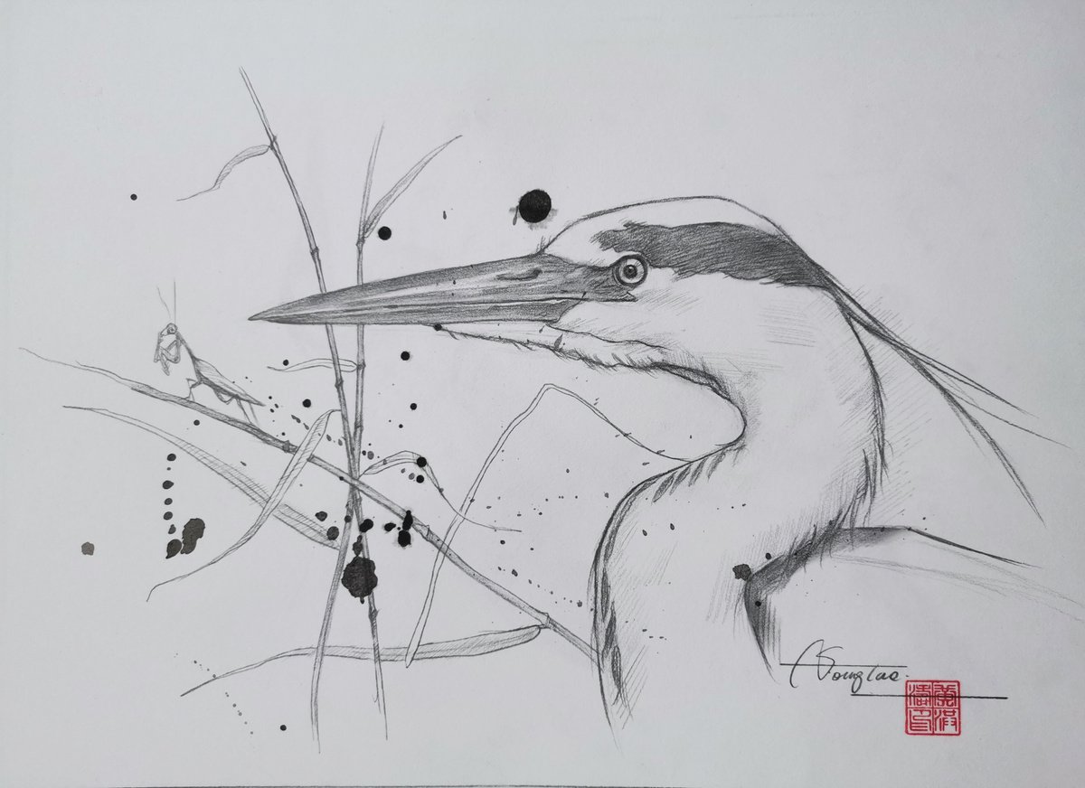 Drawing- Heron #20827 by Hongtao Huang