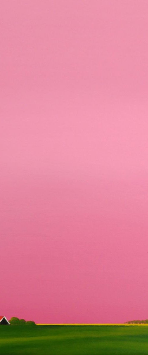 Pink sunrise by Nelly van Nieuwenhuijzen