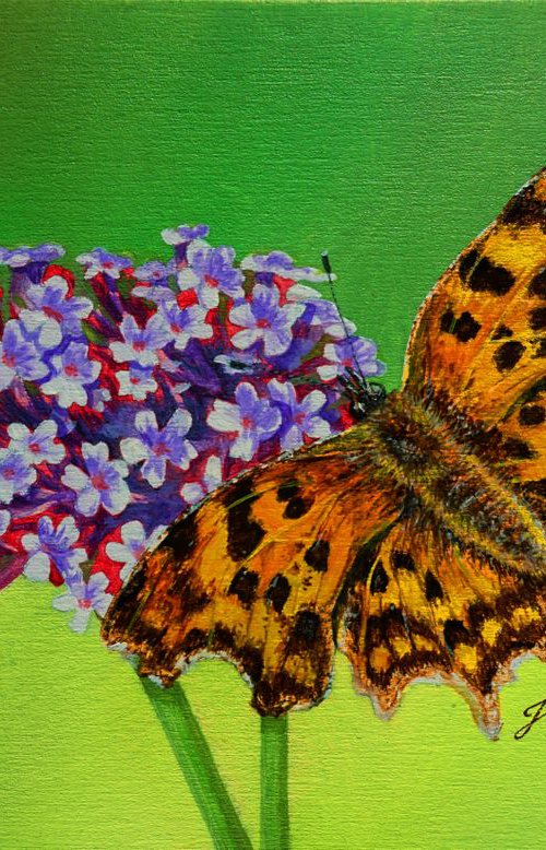 Comma on Verbena 7.5x5inch £100 by Jayne Farrer