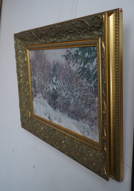 Snow-covered pine trees in Kuzminki Park