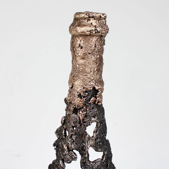 Champagne bottle 56-23