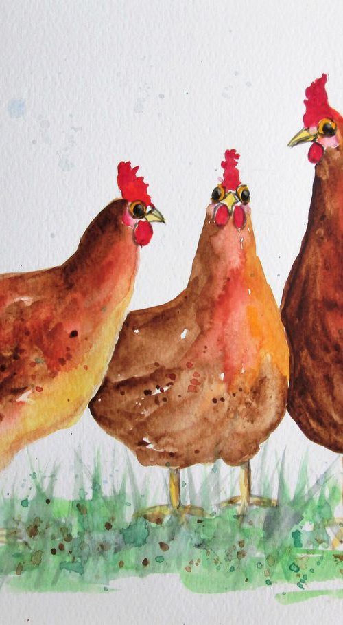 Free Range Chickens by MARJANSART