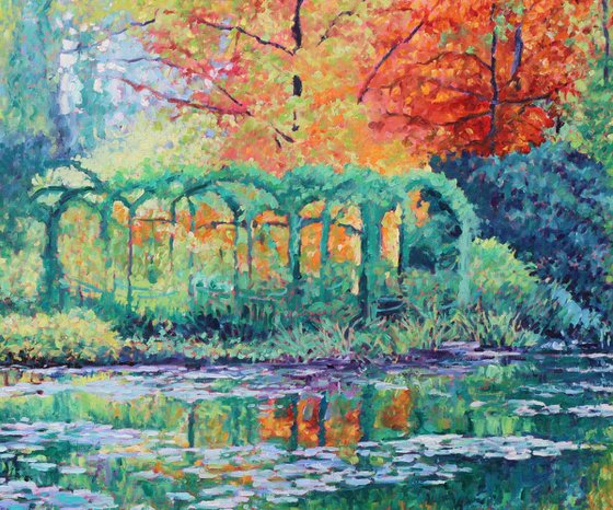 Lily Pond Reflections