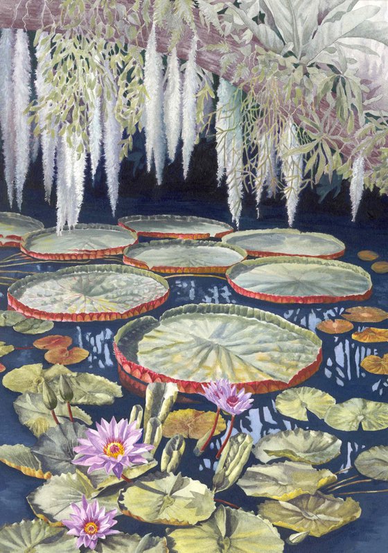 Jungle Water Lilies