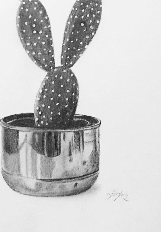 Cactus