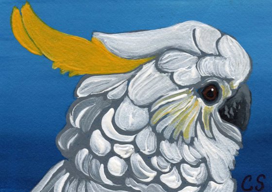 ACEO ATC Original Miniature Painting Citron Cockatoo Parrot Bird Wildlife Art-Carla Smale