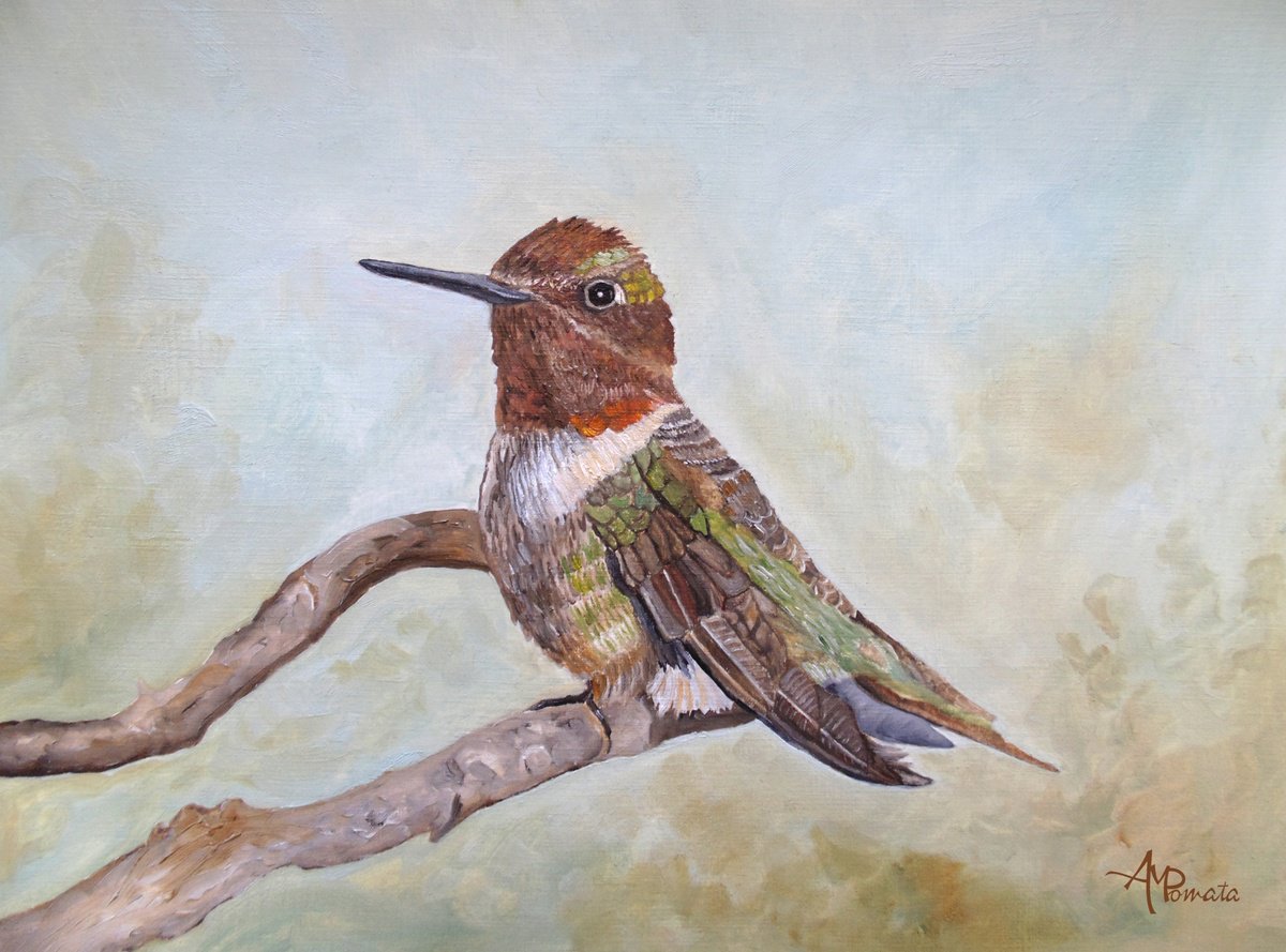 Held In Calm By Angeles M. Pomata, 13 X 10, Artwork For Sale On Artfinder