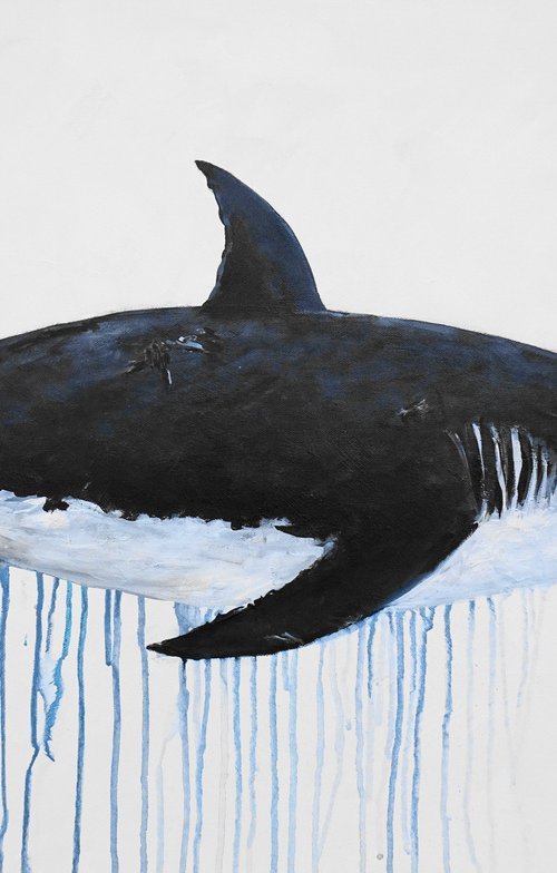 Large Abstract The Great White Shark. Acrylic painting on canvas. Ocean animals, black, white. Painting 61x91cm. by Sveta Osborne