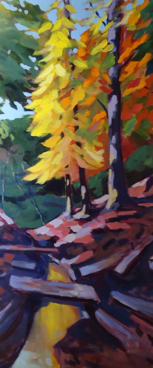 Ravine reflections by Edward  Abela