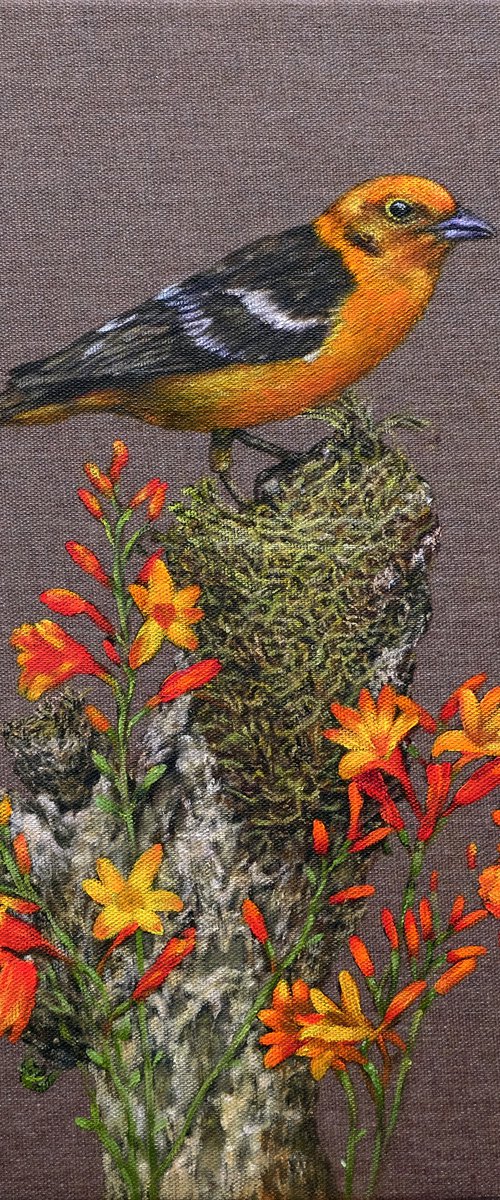 Bird. Little yellow bird in its nest. by Anastasia Woron