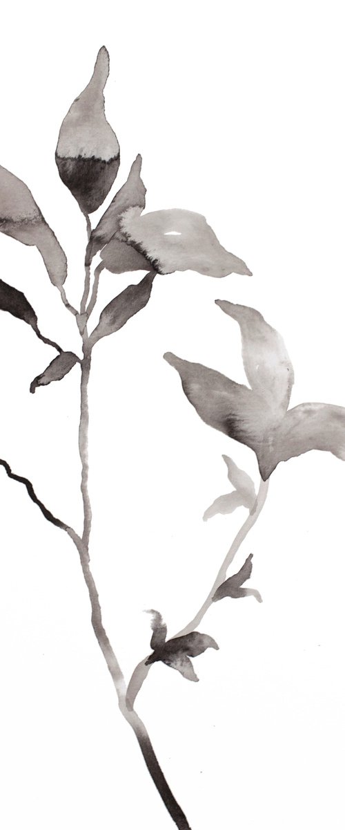 Plant Study No. 106 by Elizabeth Becker