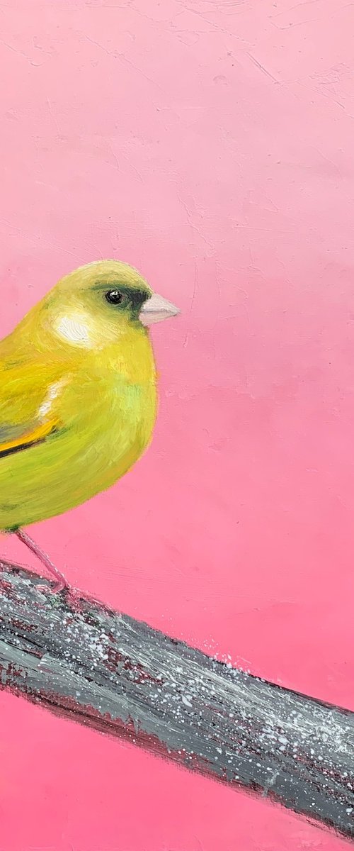 Greenfinch on Silver Branch by Laure Bury