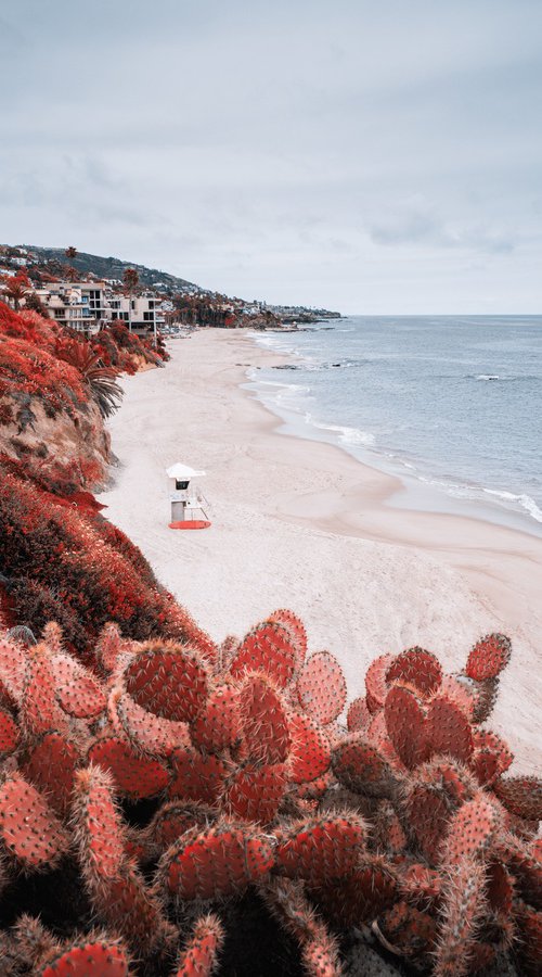 LAGUNA BEACH I by Harv Greenberg
