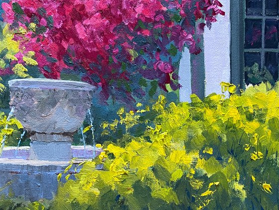 Bougainvillea In Carmel Courtyard