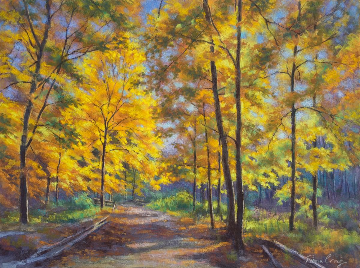 Nature Trail, Turn of Autumn by Fiona Craig