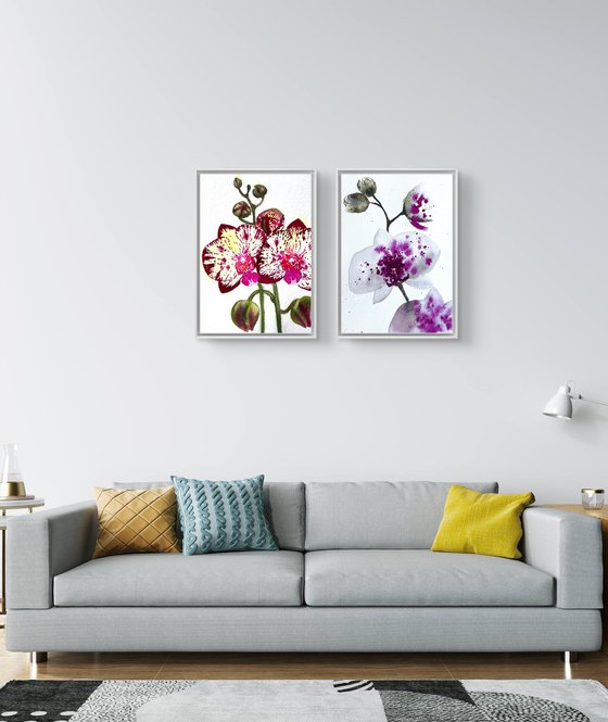 Twin Wild Orchid Purple