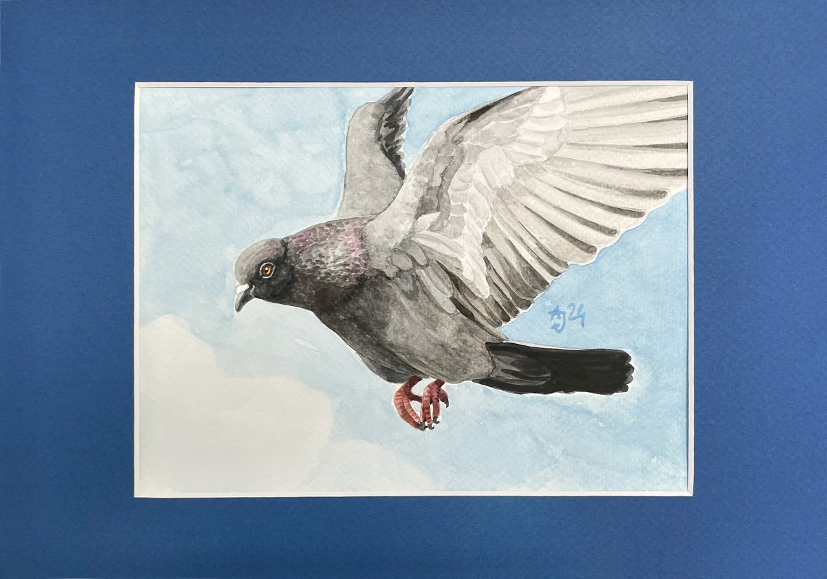 Pigeon (in blue :) by Jolanta Czarnecka