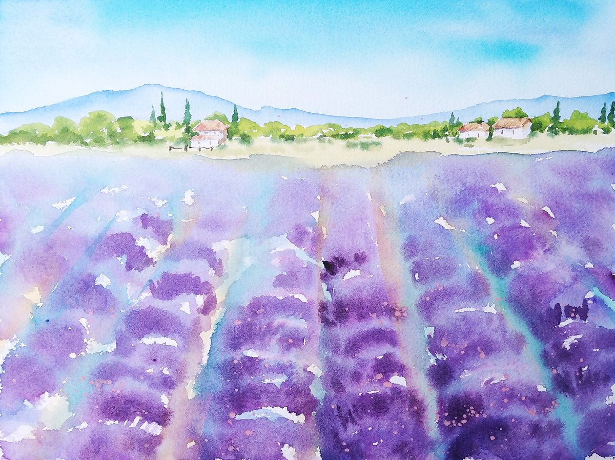 Lavender field landscape watercolor illustration by Tanya Amos