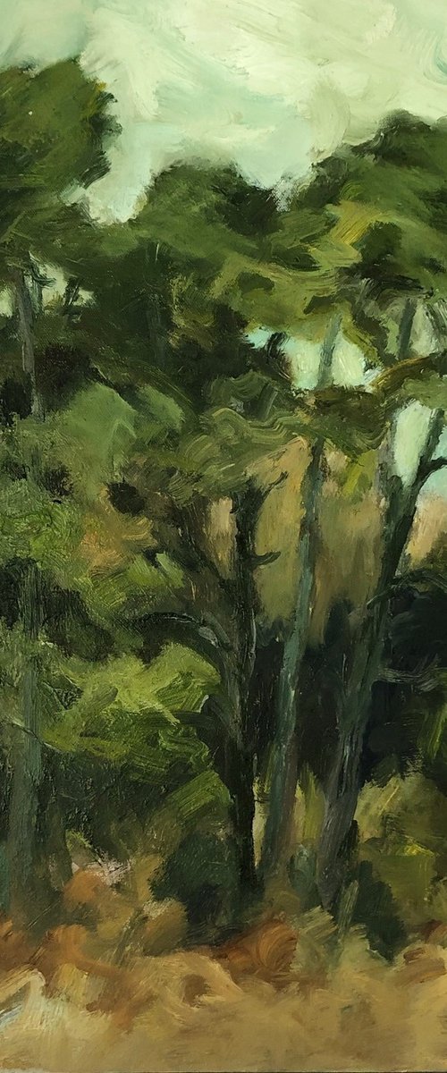 Pine Clump by Joanna Farrow