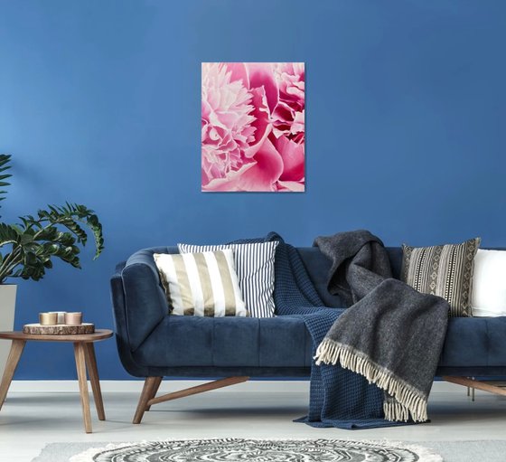 Angel’s Kiss. Peony