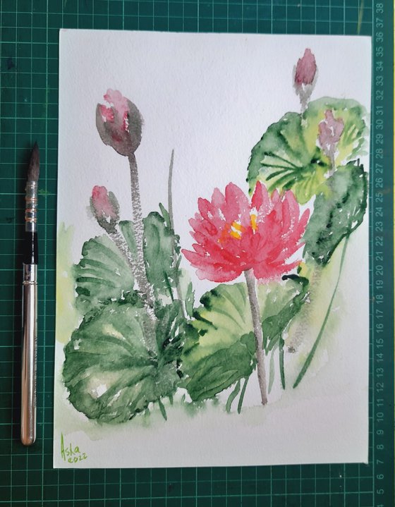 Lotus and Lotus buds