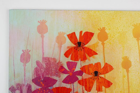 Poppies Bathed in Gold