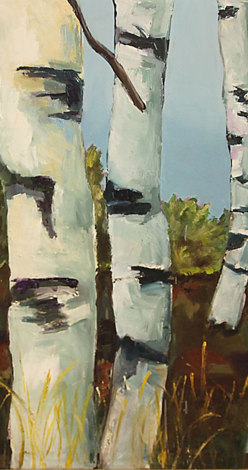 Birches by Ulli Schmitt