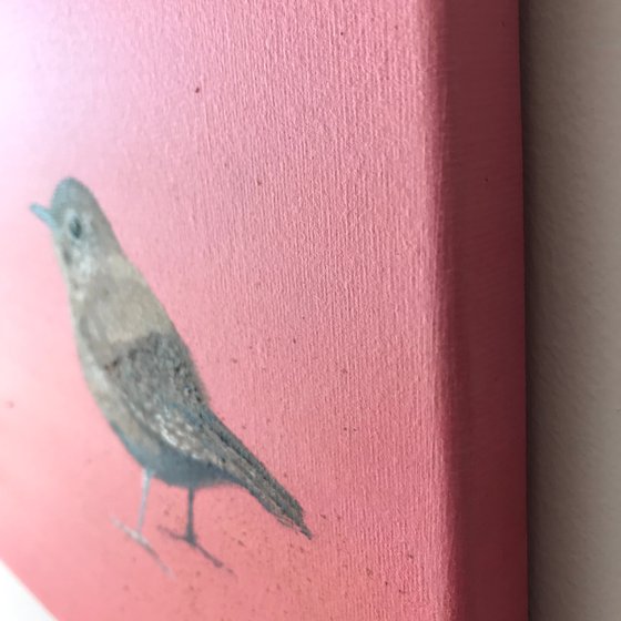 Two Little Wrens ~ on rose gold
