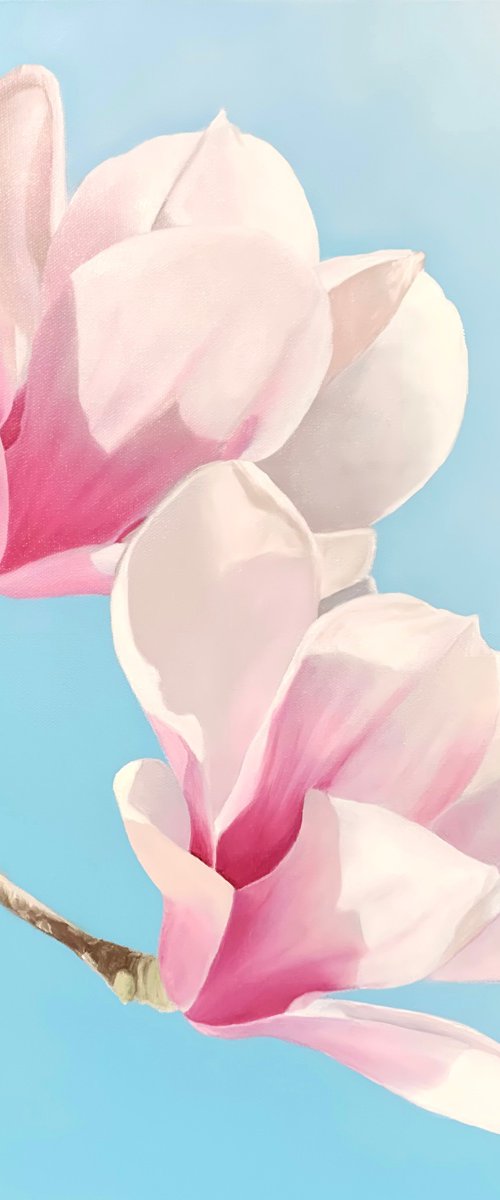 Stunning Blooms. Magnolia. by Alla Kallass