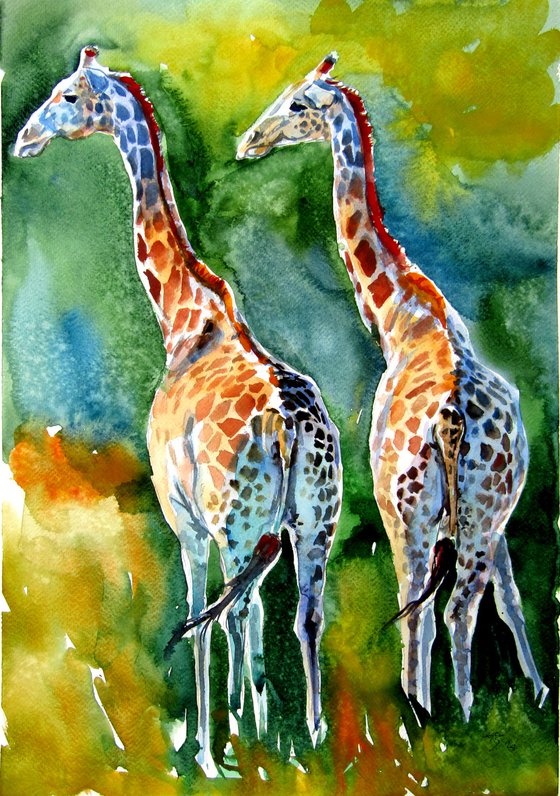 Giraffes on the field