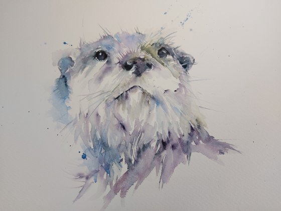 Watercolour otter